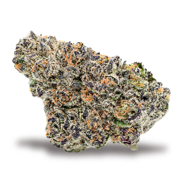Gelato 41