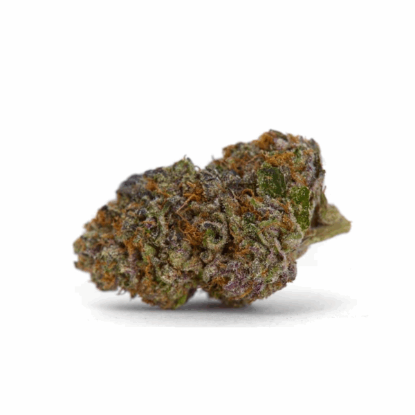 Girl Scout Cookies