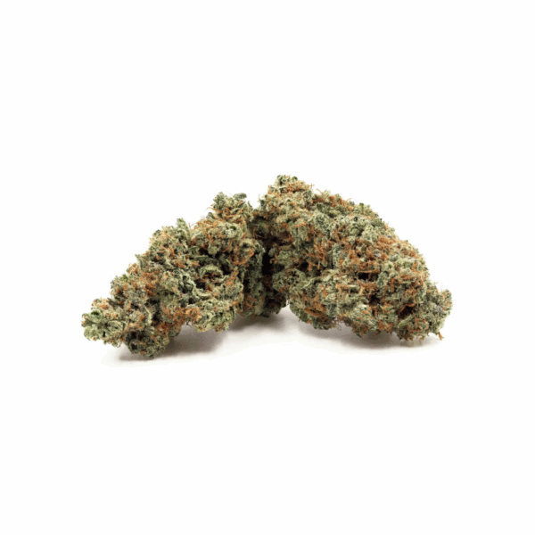 Jet Fuel
