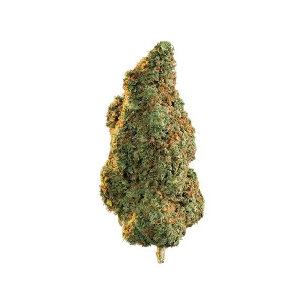 Girl Scout Cookies