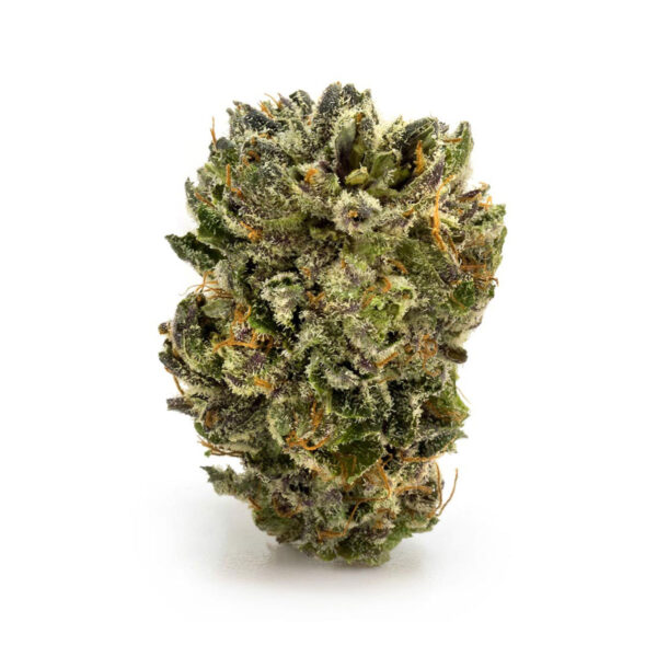 Bubba